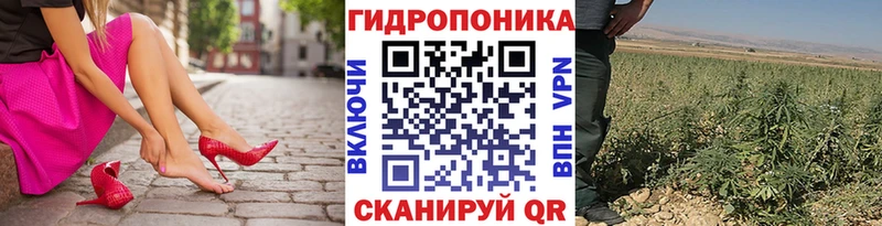 Как найти наркотики Брянск COCAIN  A PVP  Псилоцибиновые грибы  Меф мяу мяу  Гашиш 