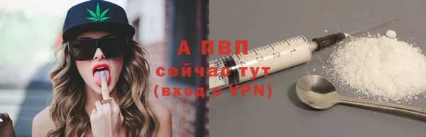 стаф Алексин