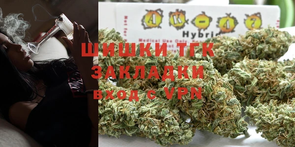 стаф Алексин