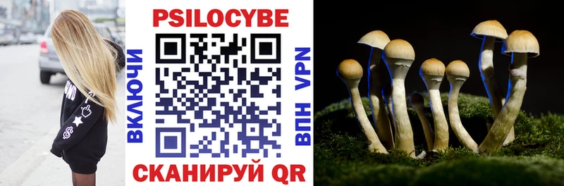 Галлюциногенные грибы Psilocybe  MEGA сайт  Брянск 
