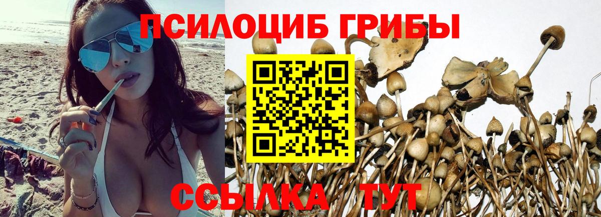 Галлюциногенные грибы мухоморы Брянск