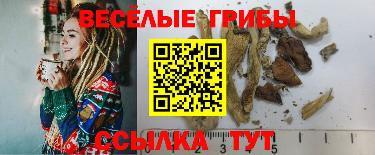 МАРИХУАНА  LSD-25  Брянск  ГАШИШ  МЕФ   Вход с VPN  Кокаин 