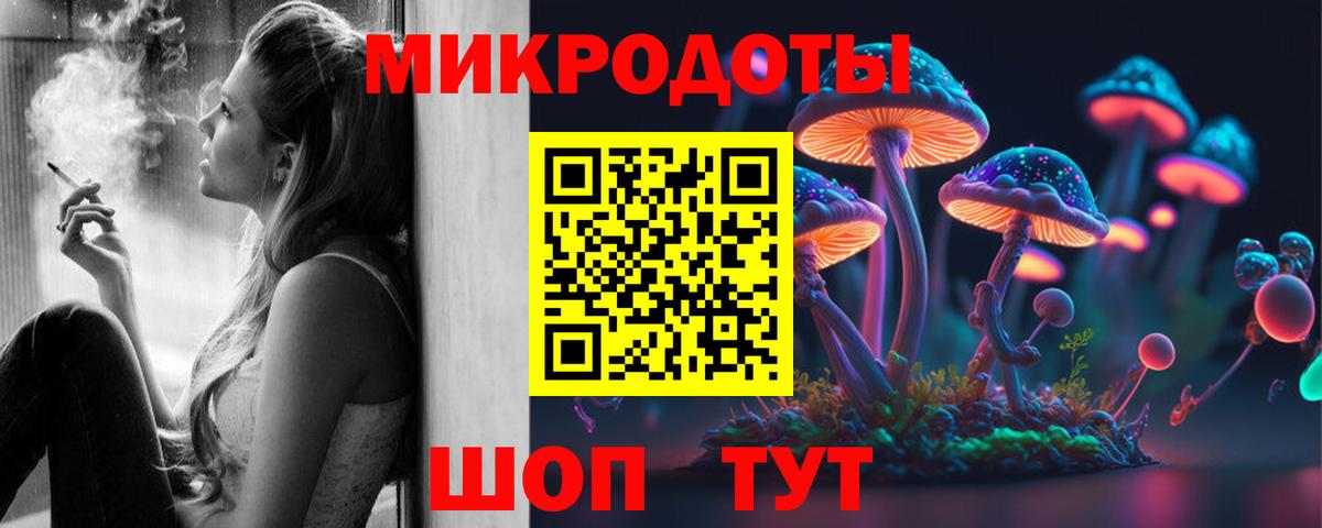 Брянск  Псилоцибиновые грибы Psilocybine cubensis  Вход с VPN 