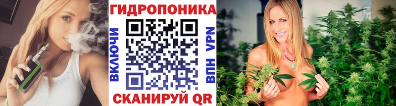 магазин    Брянск  мега ССЫЛКА  Марихуана сатива 